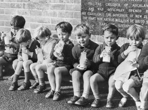 Milk guzzling nation. Milk was seen as so essential to good nutrition we used to hand it out free to children for three decades. Fortunately, the programme was discontinued the year I was born. (c) The Encyclopaedia of New Zealand 